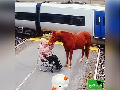 وقتی ثانیه‌ها بوی معجزه می‌دهند؛ امضای خدا پایِ دفتر زندگی/ آخری از همه جذاب تر بود ❤ + ویدئو