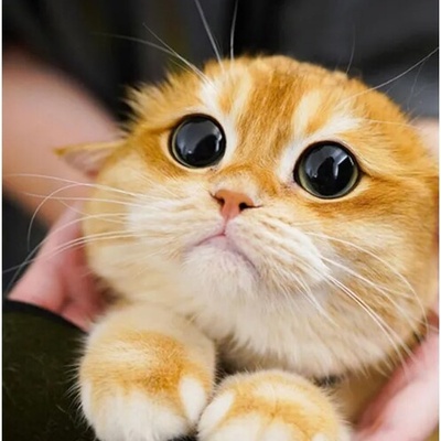 (عکس) شوخی هنری دانش‌آموز در برگه امتحان سوژه فضای مجازی شد/ معلم: «همین‌که سه شدی هنر کردی!»