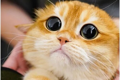 (عکس) شوخی هنری دانش‌آموز در برگه امتحان سوژه فضای مجازی شد/ معلم: «همین‌که سه شدی هنر کردی!»