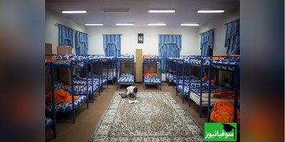 عکس مخفی خوابگاه پسرانه که تازه منتشر شد؛ پشت این نیمروها چه رازی نهفته است؟