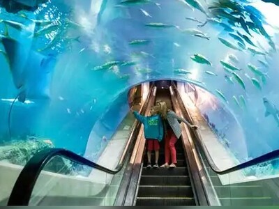 ویدئو/ آکواریوم زیرآبی ابوظبی؛ زیباترین پله برقی جهان که رازهای پنهان اعماق دریا و گونه‌های دریایی را فاش می‌کند