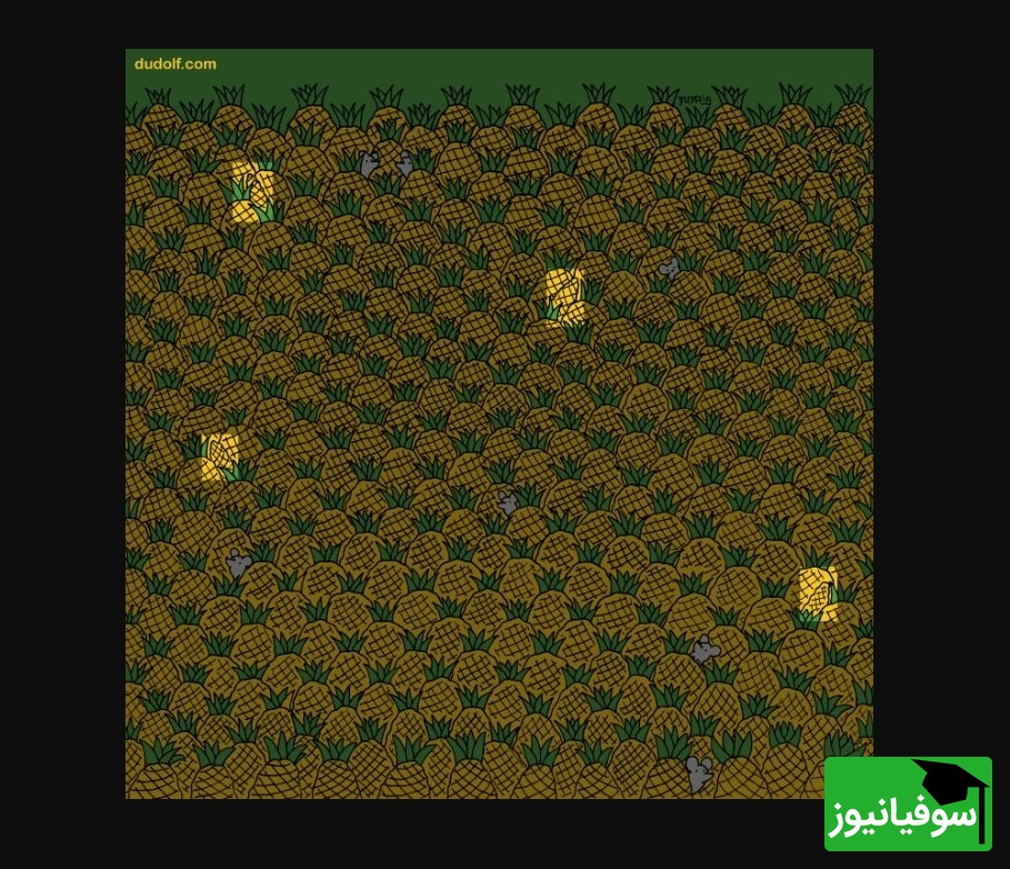 پاسخ