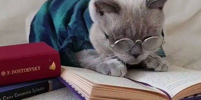 خلاقیت خنده دار پدر ایرانی برای کشاندن فرزندانش پای درس و مشق با قدیمی ترین شیوه تربیتی/ بچه مگه جرات داره درس نخونه!😂+عکس