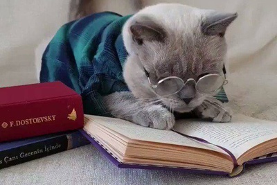 خلاقیت خنده دار پدر ایرانی برای کشاندن فرزندانش پای درس و مشق با قدیمی ترین شیوه تربیتی/ بچه مگه جرات داره درس نخونه!😂+عکس