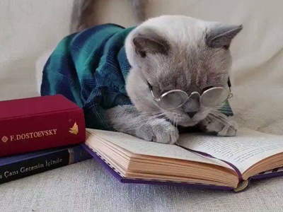 خلاقیت خنده دار پدر ایرانی برای کشاندن فرزندانش پای درس و مشق با قدیمی ترین شیوه تربیتی/ بچه مگه جرات داره درس نخونه!😂+عکس