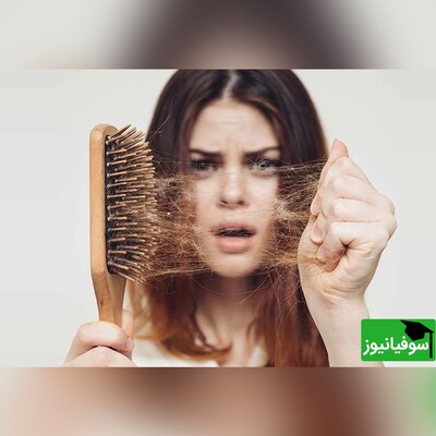 معرفی 7 تا از محبوب‌ترین و بهترین خوراکی‌ها برای جلوگیری از ریزش مو+ عکس