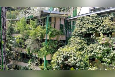 (ویدئو) بهشت زیبای پروفسور محمود حسابی در سبزترین باغ موزۀ ایران