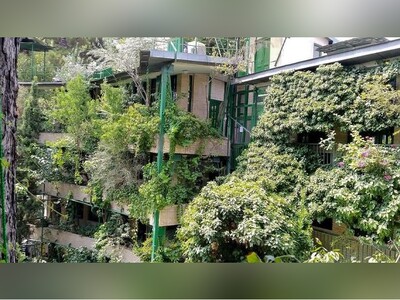 (ویدئو) بهشت زیبای پروفسور محمود حسابی در سبزترین باغ موزۀ ایران