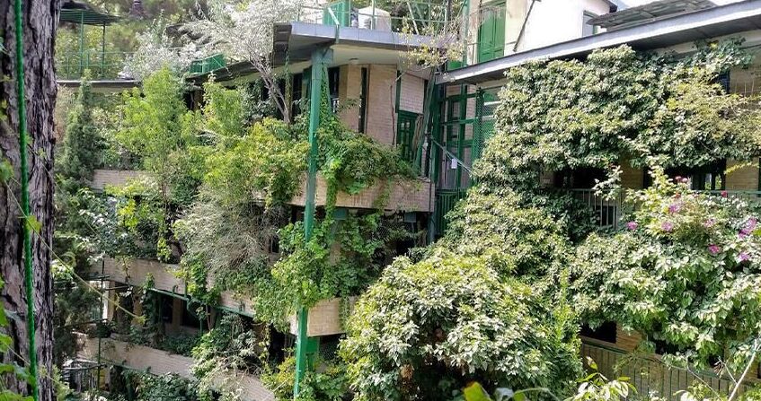 (ویدئو) بهشت زیبای پروفسور محمود حسابی در سبزترین باغ موزۀ ایران
