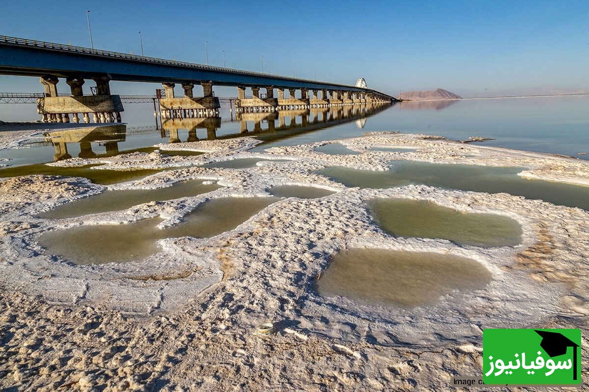 مسعود تجریشی رئیس دانشگاه شریف: بخاطر 2 میلیون دلار، دریاچه ارومیه 13 هزار ساله را خشک کردند