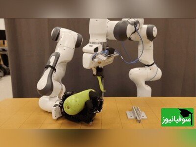 ویدیو/ حماسۀ جدید علم برای افراد تنبل/ ربات پوست‌کن به بازار آمد