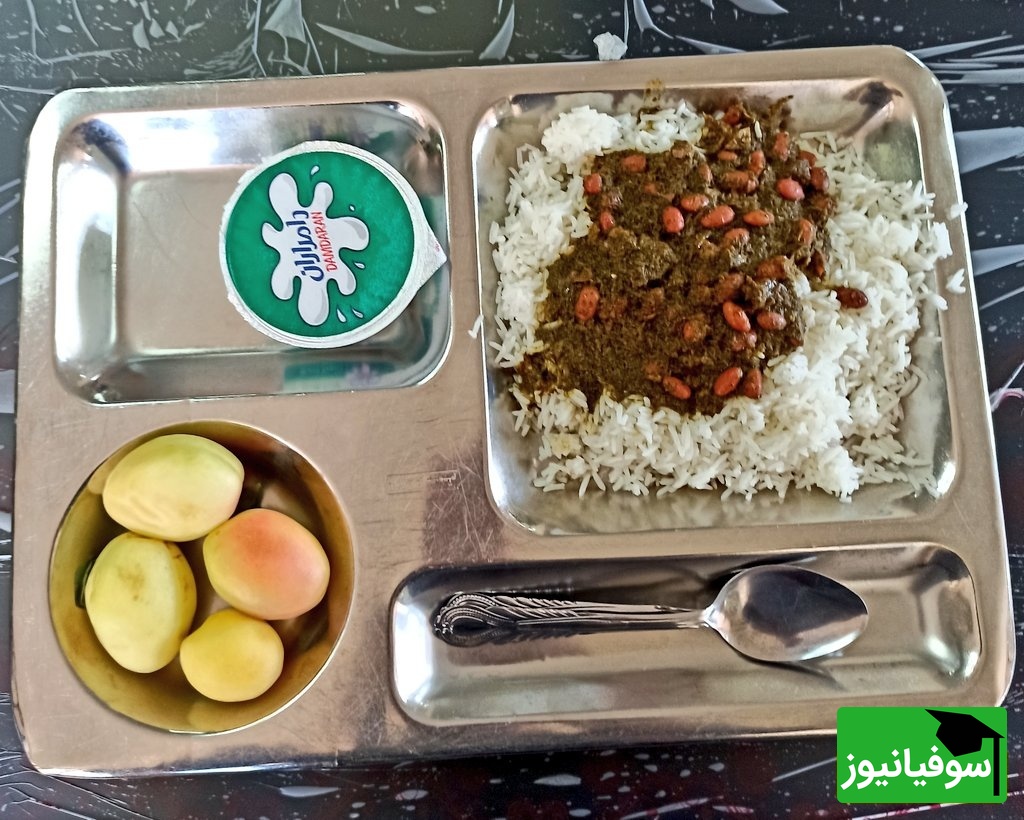 تصویب افزایش 10 درصدی نرخ غذای دانشجویی علوم پزشکی و بهرهبرداری از خوابگاههای جدید