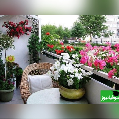 این 6 گیاه آپارتمانی دردسرساز را نخرید؛ خیلی‌ها بعداً پشیمان شده‌اند!+ عکس