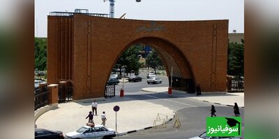 استاد ممتاز دانشگاه تربیت مدرس موفق به أخذ گرنت بنیاد ملی علم ایران شد