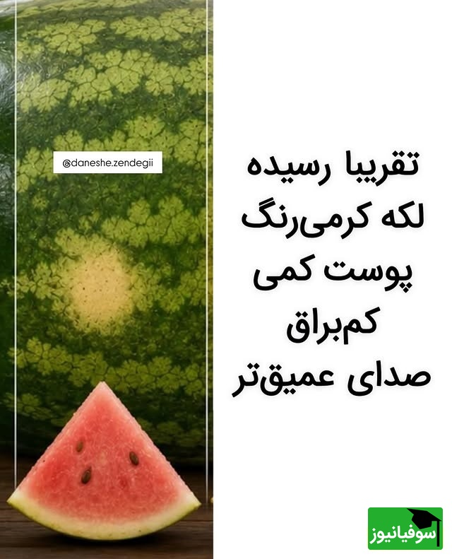 شناسایی هندوانه با رنگ