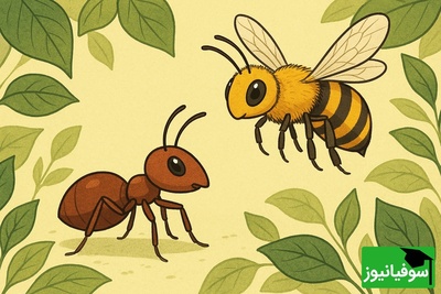 اگه نابغه‌ای، معمای زنبور و مورچه رو تو 30 ثانیه حل کن! 🐝🐜
