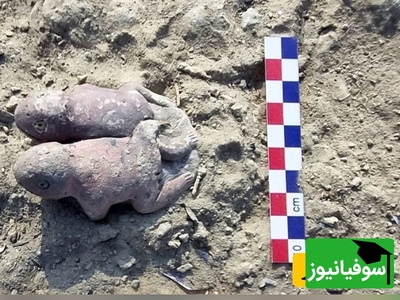 قورباغه‌های باستانی بعد از 3800 سال دوباره دیده شدند