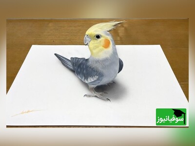 ویدئو / نقاشی سه‌بعدی خارق‌العاده‌ای که حتی طوطی را فریب داد! شاهکار هنرمند چینی که طوطی‌اش را وادار به خوردن بادام‌زمینی‌های نقاشی کرد