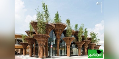 (ویدیو) خانه هایی فوق‌العائده محشر از جنس بامبو که از فولاد هم مقاوم تره!/ چوبی معجزه‌آسا که باور نمیکنی چه آثاری ازش خلق میشه!/ هوش سازندش ستودنیه