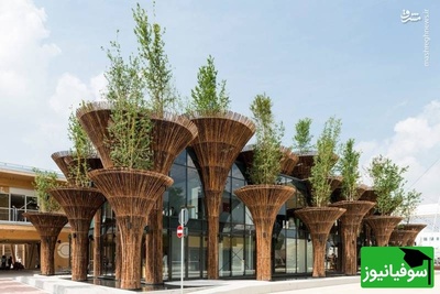 (ویدیو) خانه هایی فوق‌العائده محشر از جنس بامبو که از فولاد هم مقاوم تره!/ چوبی معجزه‌آسا که باور نمیکنی چه آثاری ازش خلق میشه!/ هوش سازندش ستودنیه