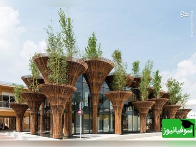 (ویدیو) خانه هایی فوق‌العائده محشر از جنس بامبو که از فولاد هم مقاوم تره!/ چوبی معجزه‌آسا که باور نمیکنی چه آثاری ازش خلق میشه!/ هوش سازندش ستودنیه