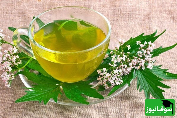  دمنوش سنبل‌الطیب