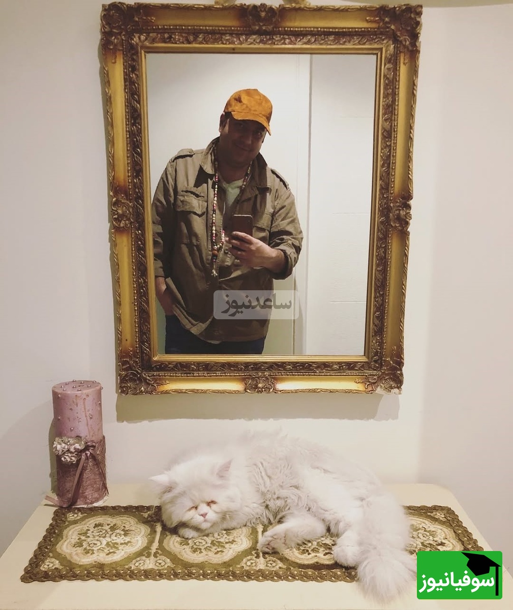 چیدمان منزل علی اوجی و نرگس محمدی