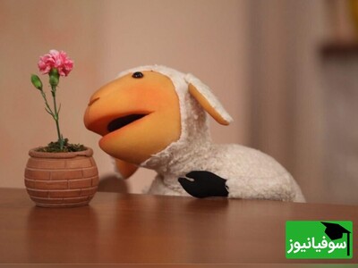 خلاقیت بی‌نظیر دانشجوی ایرانی با صداگذاری روی کتاب‌های درسی/ از خوانندگی سالار عقیلی و هوشنگ ابتهاج گرفته تا کتاب انگلیسی ببعی و سمت خدای دین و زندگی+ ویدئو