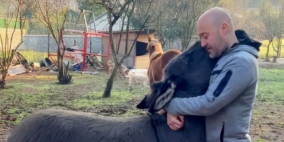 (ویدئو) مستند حیات وحش حیوانات/ راز بقا، این قسمت: صمیمیت دیوانه‌وار اُلاغ یتیم با مرد مهربانی که اونو از گوشه خیابون جمعش کرد