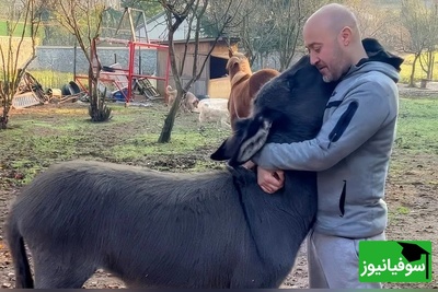 (ویدئو) مستند حیات وحش حیوانات/ راز بقا، این قسمت: صمیمیت دیوانه‌وار اُلاغ یتیم با مرد مهربانی که اونو از گوشه خیابون جمعش کرد