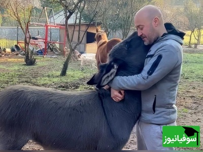 (ویدئو) مستند حیات وحش حیوانات/ راز بقا، این قسمت: صمیمیت دیوانه‌وار اُلاغ یتیم با مرد مهربانی که اونو از گوشه خیابون جمعش کرد