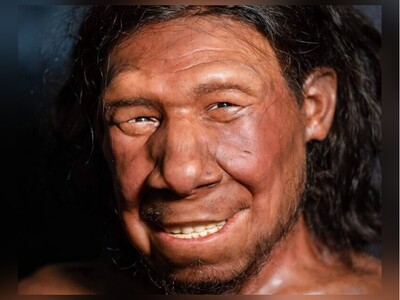 (ویدئو) کرگدنِ پشمالو، قوچ، قارچ، خزه و... منوی غذایی لاکچری نئاندرتال‌های بلژیک