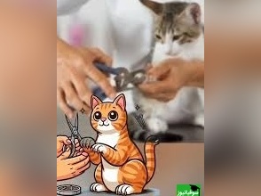 واکنش‌های سمی گربه‌ها موقع ناخن گرفتن 😂(فقط آخریش!)