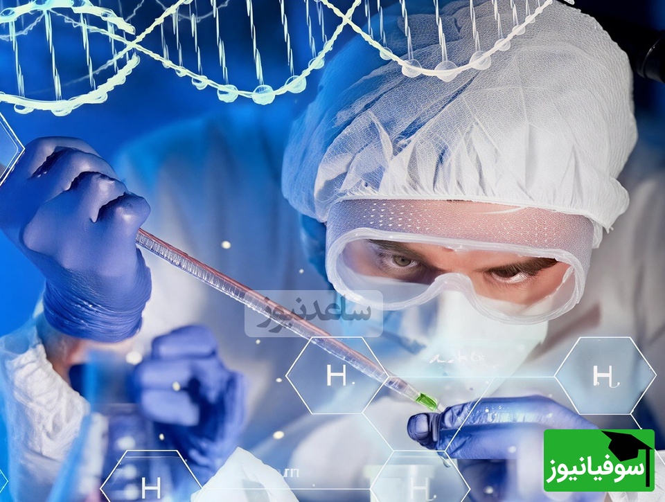 پروژه‌ای ایرانی با دستاورد جهانی/ از ثبت‌نام ارشد تا نانوالیاف ضدباکتری