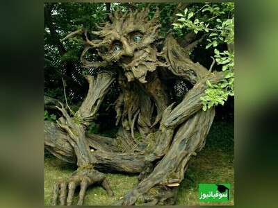 (ویدئو) داستان کوتاه انگلیسی «مواجهۀ درخت تنومند با طوفان‌»/ زیرنویس فارسی چسبیده و  یادگیری آسان اصطلاحات خاص