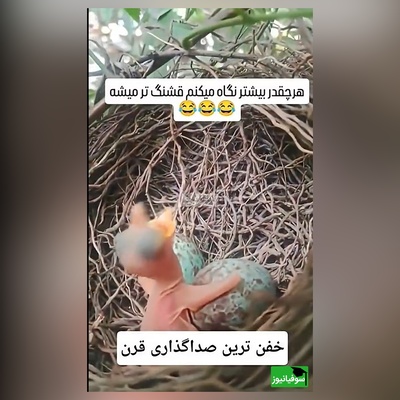فیلم/خلاقیت خنده دار هنرمند ایرانی در صداگذاری رو از دست نده/ من یکی 10 بار دیدم 20 بار خندیم بهش😂 بیخود نبوده میگفتن هنر نزد ایرانیان است و بس