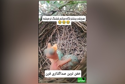 فیلم/خلاقیت خنده دار هنرمند ایرانی در صداگذاری رو از دست نده/ من یکی 10 بار دیدم 20 بار خندیم بهش😂 بیخود نبوده میگفتن هنر نزد ایرانیان است و بس
