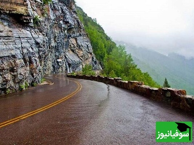 (ویدئو) لحظه ای از حیات وحش جاده چالوس که نفس رو تو سینه‌ حبس می‌کنه!