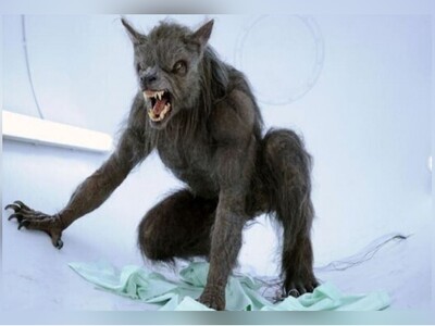 (ویدئو) داستان کوتاه انگلیسی «مرد تنبل و گرگ 2 پا» با زیرنویس فارسی/ یادگیری آسان اصطلاحات خاص