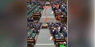حضور سگ خواب‌آلود در پارلمان بریتانیا خبرساز شد😂 + ویدئو