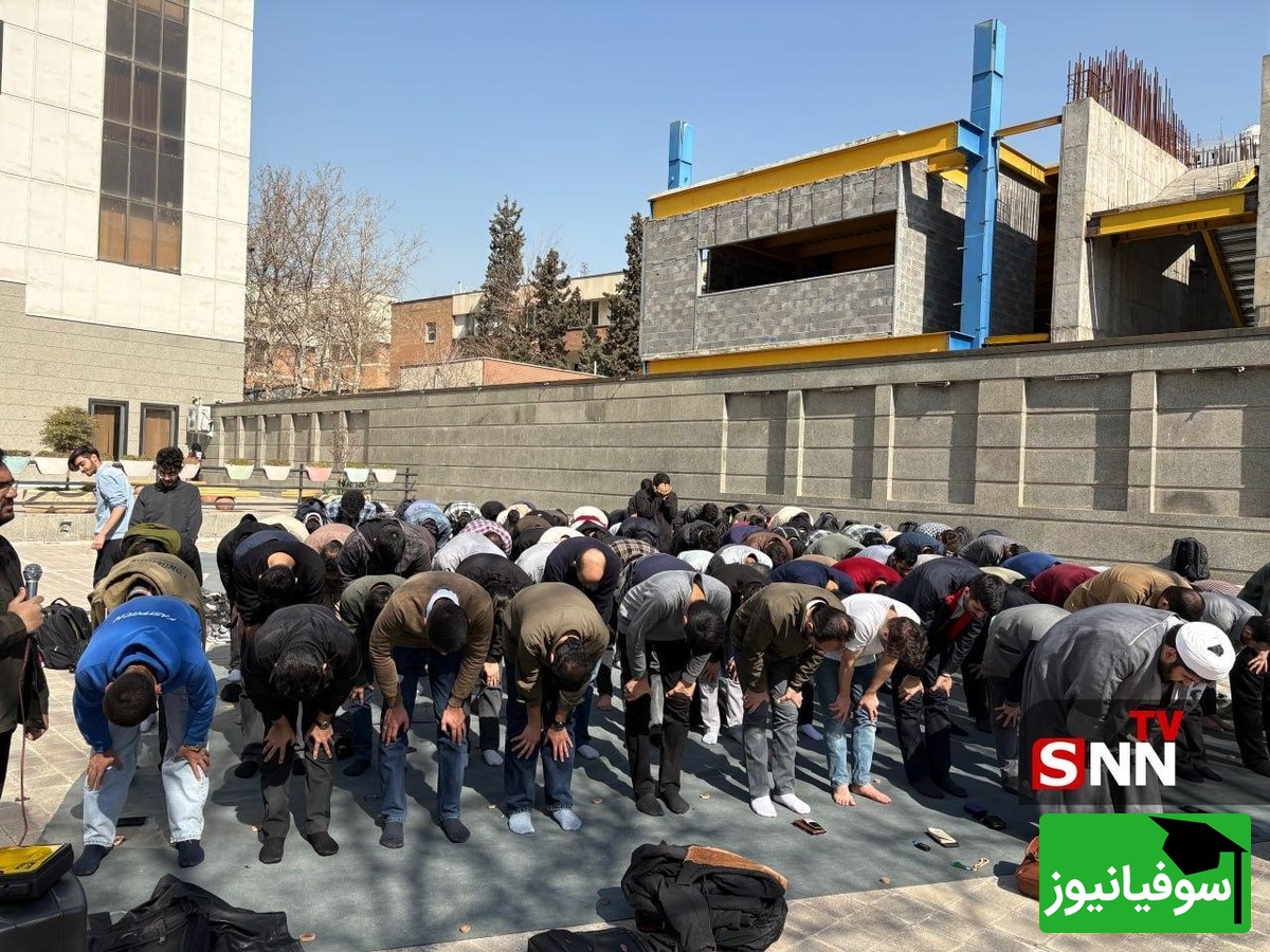 دانشگاه تهران