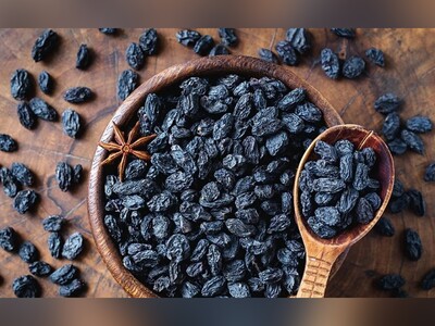 ویدیو/ مویز، واژه‌ای عجیب که فقط در فرهنگ لغت ایرانیان یافت می‌شود