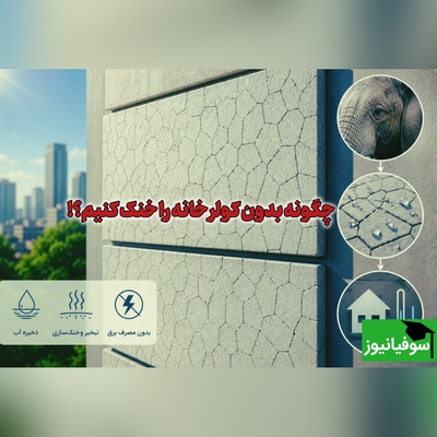 رازی که از پوست فیل به دست آمد! / دانشمندان کاشی‌ای ساختند که بدون کولر ساختمان را خنک می‌کند