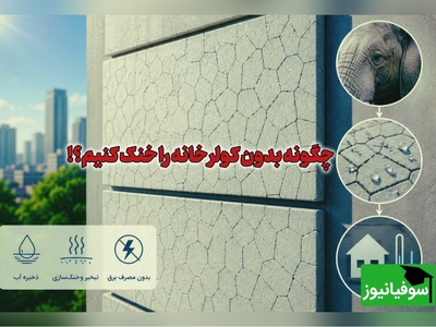 رازی که از پوست فیل به دست آمد! / دانشمندان کاشی‌ای ساختند که بدون کولر ساختمان را خنک می‌کند