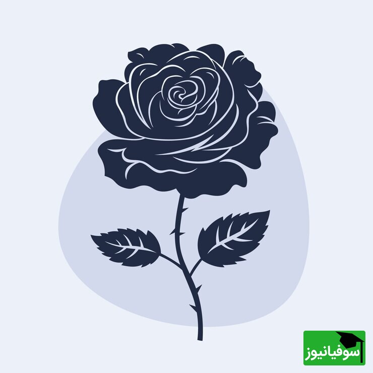 خطای دید/ حتی افرادی با استدلال منطقی و ضریب هوشی بالای 120 نمی‌توانند در 3 ثانیه کلمۀ Rose را در میان حروف Nose پیدا کنند