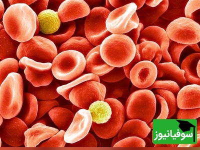 کشف نادرترین گروه خونی جهان؛ فقط چند نفر در کل زمین آن را دارند!