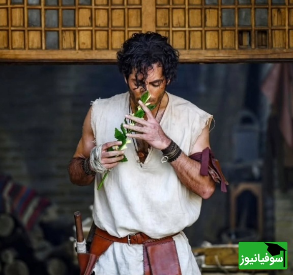 (ویدئو) وقتی پایان‌نامه نوید پورفرج را هم از پا درمی‌آورد!/ تفاوت خنده‌دار روز اول و روز آخر دکتری در دانشگاه