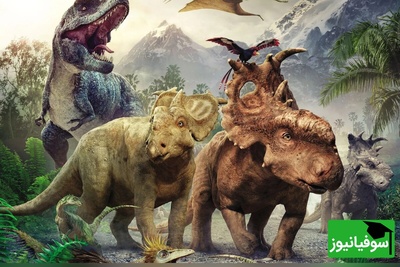 (عکس) یافتن نادرترین و کوچک‌ترین تخم دایناسورِ 80 میلیون‌ساله در چین