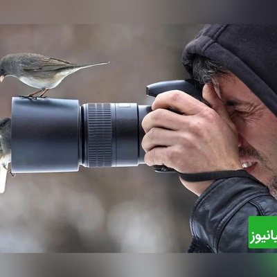 باور می‌کنید همه این صحنه‌ها واقعی باشند؟ شگفت‌انگیزترین عکس‌های هوایی حیات وحش جهان + عکس
