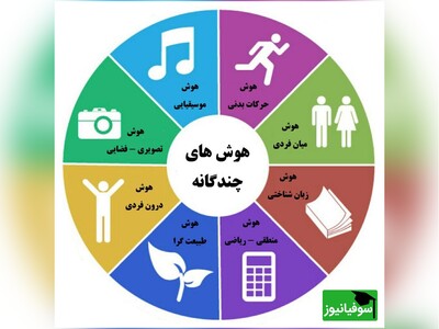 (ویدئو) طبقه‌بندی توانایی انسان از نظر انواع هوش
